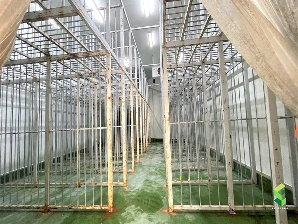 ขายโรงงาน-ห้องเย็น ความจุ 970 ลูกบาศก์เมตร ถนนเอกชัย สมุทรสาคร