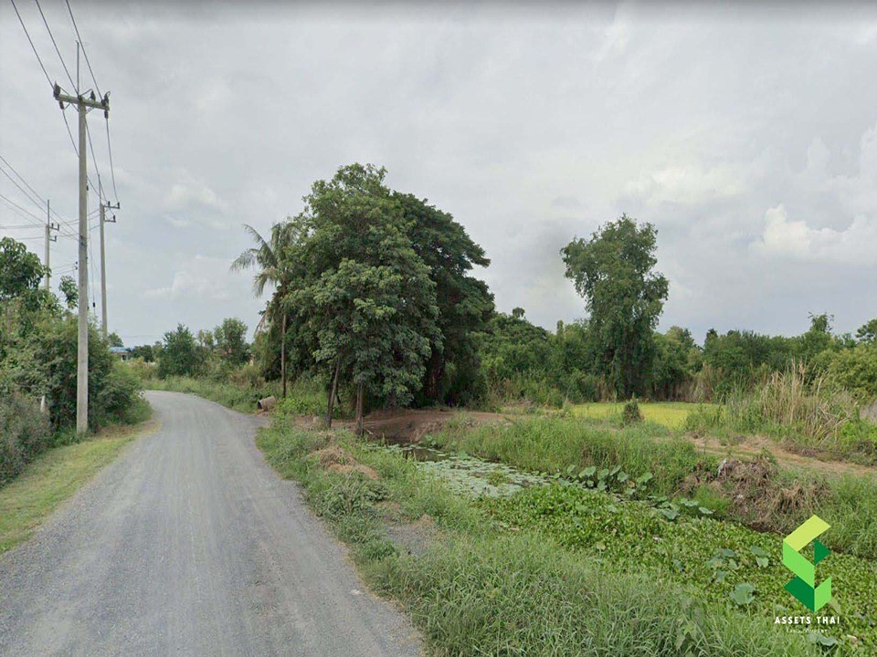 ขายที่ดินติดถนน ใกล้ รร.สอนดี รพ.พระยาบรรลือ ลาดบัวหลวง จ.อยุธยา