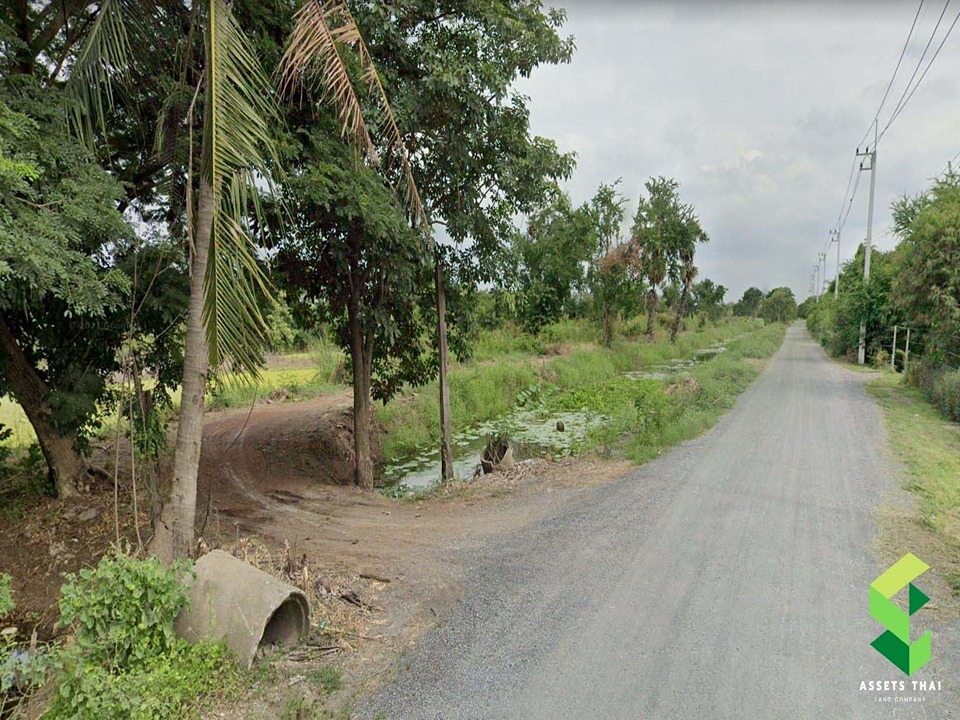 ขายที่ดินติดถนน ใกล้ รร.สอนดี รพ.พระยาบรรลือ ลาดบัวหลวง จ.อยุธยา