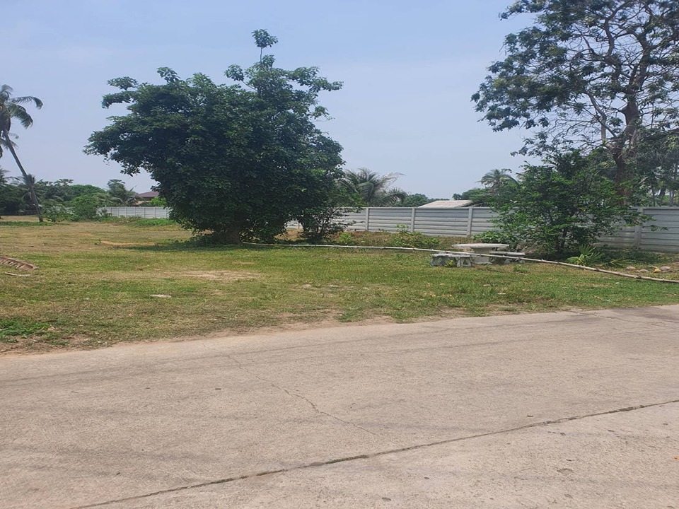 ขายที่ดิน 3ไร่ หาดบางเกตุชะอำ 80 เมตรถึงทะเล อำเภอชะอำ เพชรบุรี 
