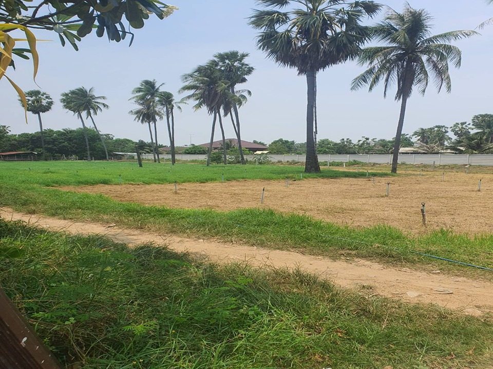 ขายที่ดิน 3ไร่ หาดบางเกตุชะอำ 80 เมตรถึงทะเล อำเภอชะอำ เพชรบุรี 