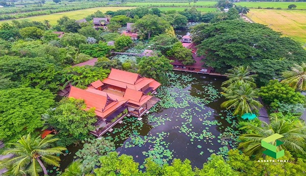 ขายคาเฟ่ รีสอร์ท สวนอาหารพนาศรม บางใหญ่ นนทบุรี ใกล้มหิดลศาลายา