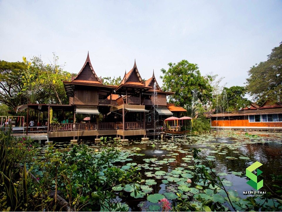 ขายคาเฟ่ รีสอร์ท สวนอาหารพนาศรม บางใหญ่ นนทบุรี ใกล้มหิดลศาลายา