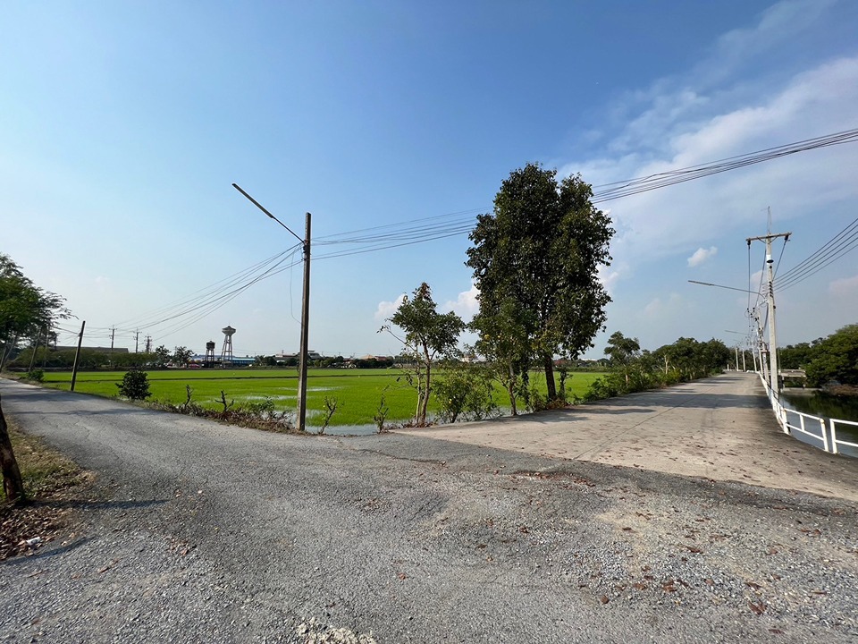 ขายที่ดิน หลังเซ็นทรัลศาลายา สามพราน นครปฐม ติดถนนใหญ่