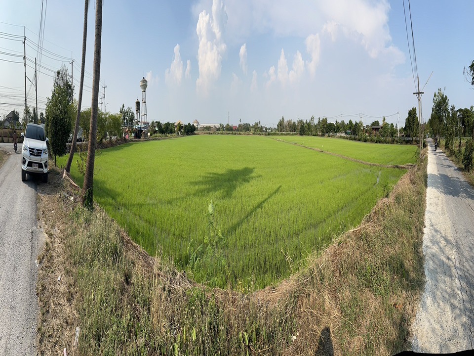 ขายที่ดิน หลังเซ็นทรัลศาลายา สามพราน นครปฐม ติดถนนใหญ่