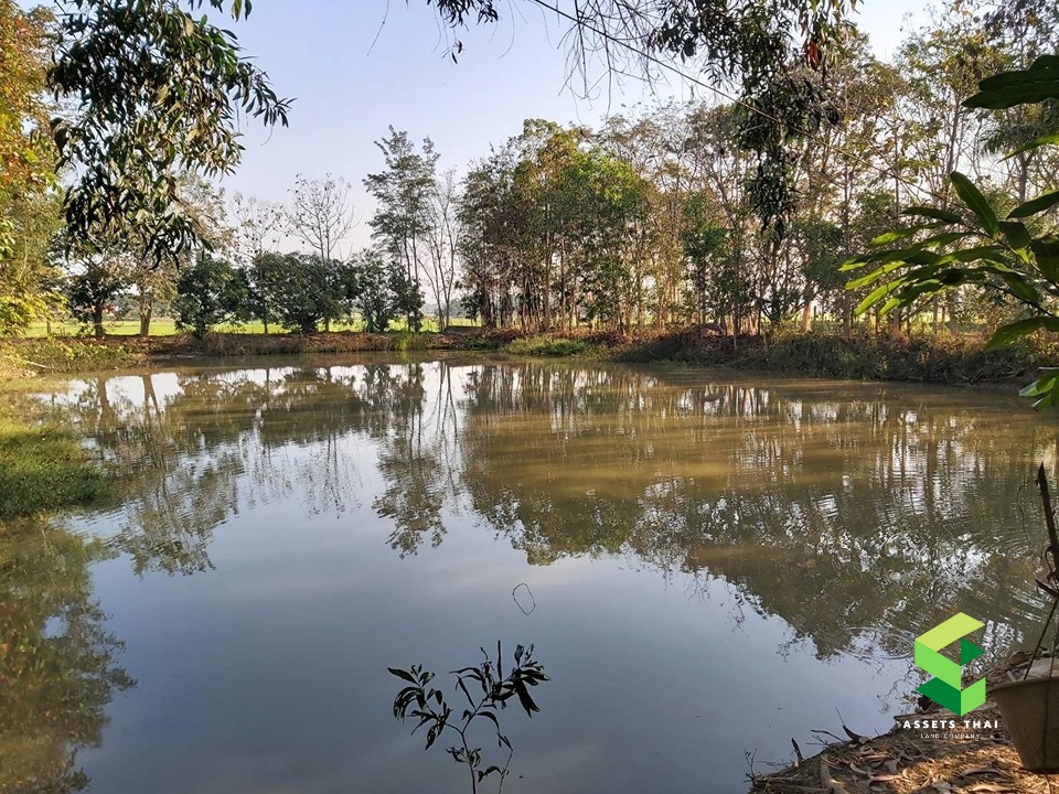 ​ขายบ้านจังหวัดแพร่ อำเภอเด่นชัย ปงป่าหวาย สวนเกษตร พร้อมที่นาและสวน 
