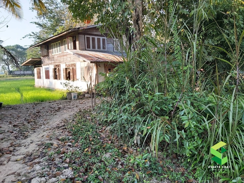​ขายบ้านจังหวัดแพร่ อำเภอเด่นชัย ปงป่าหวาย สวนเกษตร พร้อมที่นาและสวน 