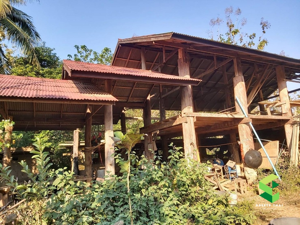 ​ขายบ้านจังหวัดแพร่ อำเภอเด่นชัย ปงป่าหวาย สวนเกษตร พร้อมที่นาและสวน 