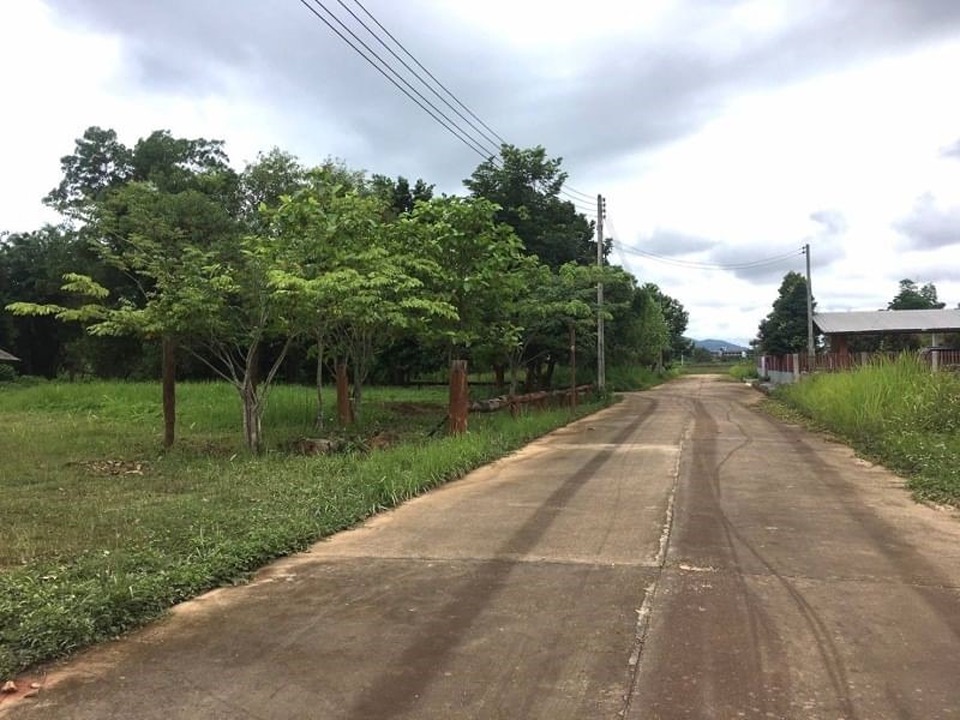 ขายที่ดินติดแม่น้ำ นางแล แม่ฟ้าหลวง เชียงราย ใกล้รพ.ศูนย์แพทย์แม่ฟ้าหลวง