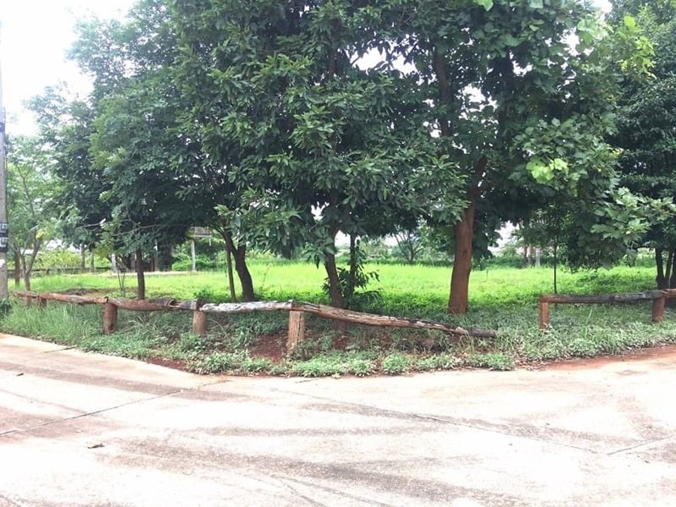 ขายที่ดินติดแม่น้ำ นางแล แม่ฟ้าหลวง เชียงราย ใกล้รพ.ศูนย์แพทย์แม่ฟ้าหลวง