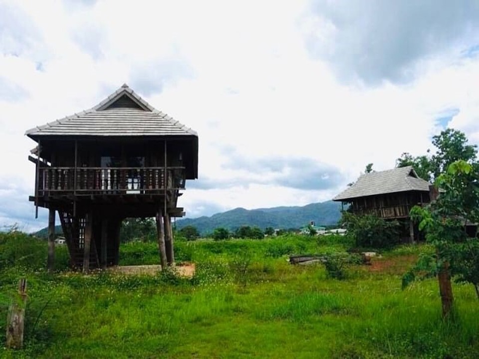 ขายที่ดินติดแม่น้ำ นางแล แม่ฟ้าหลวง เชียงราย ใกล้รพ.ศูนย์แพทย์แม่ฟ้าหลวง