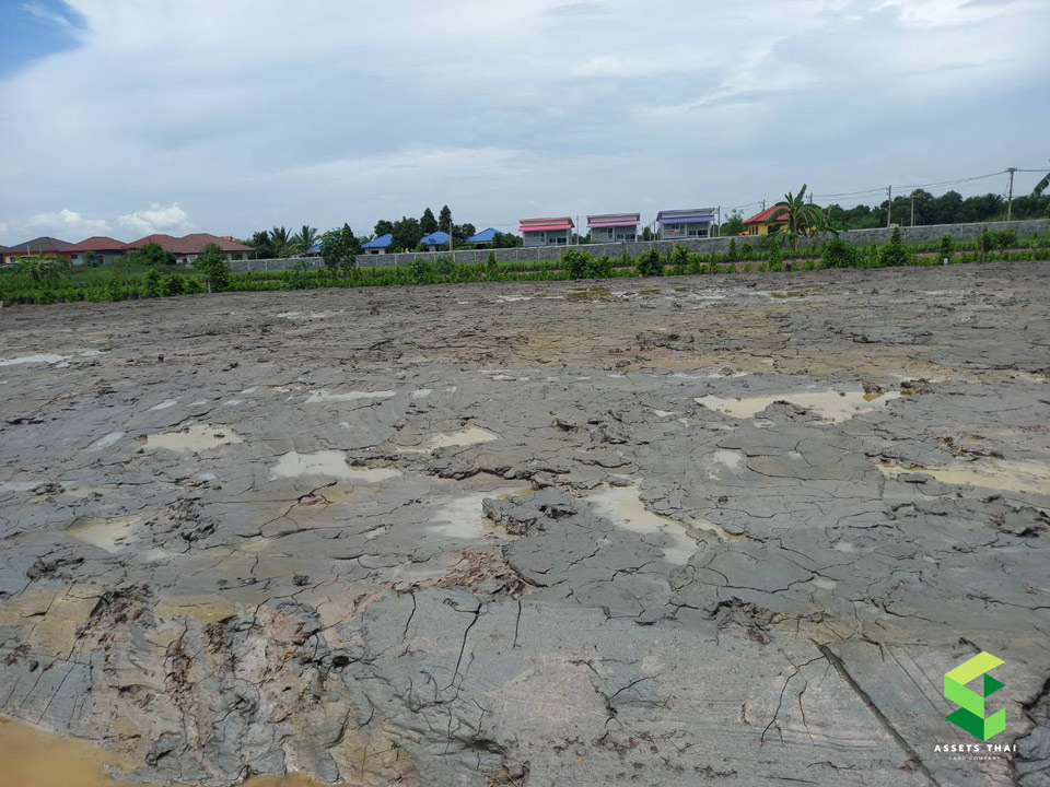ขายที่ดิน 200 ตร.วา หลังมศว.องครักษ์ นครนายก