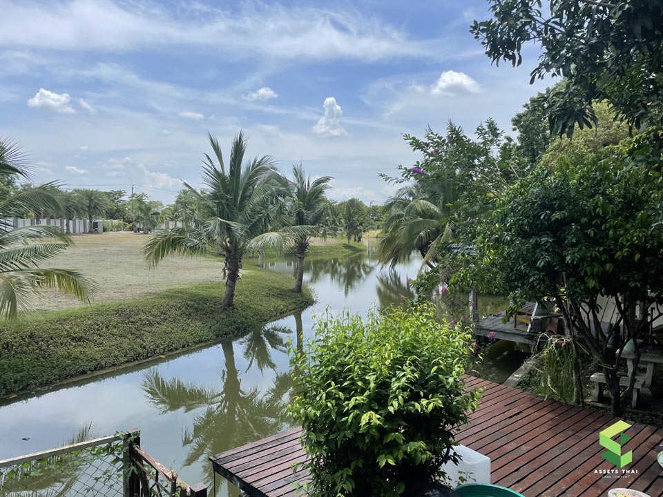 วิว