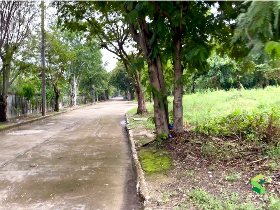 ขายที่ดินติดน้ำ ริมทะเลสาบ มบ.ไม้อิงธาร ต.ศาลากลาง บางกรวย นนทบุรี ใกล้มหิดล