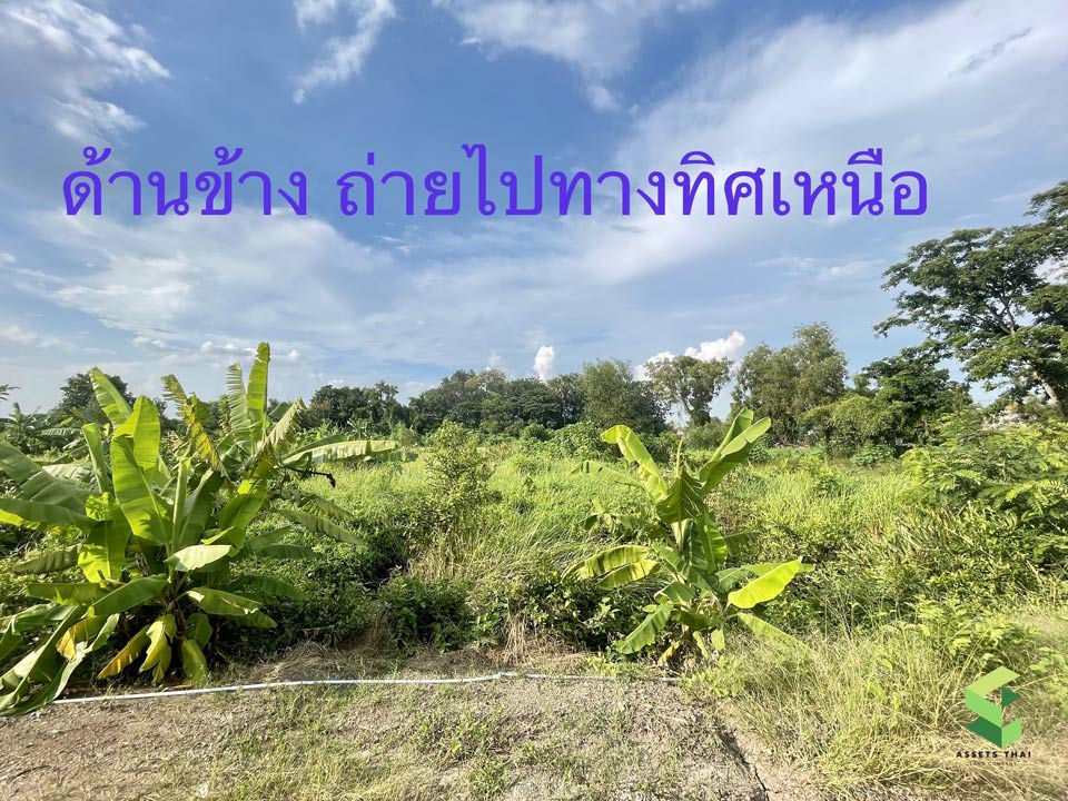 ที่ดิน