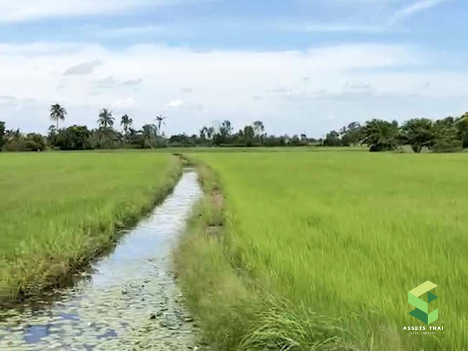 ที่ดิน