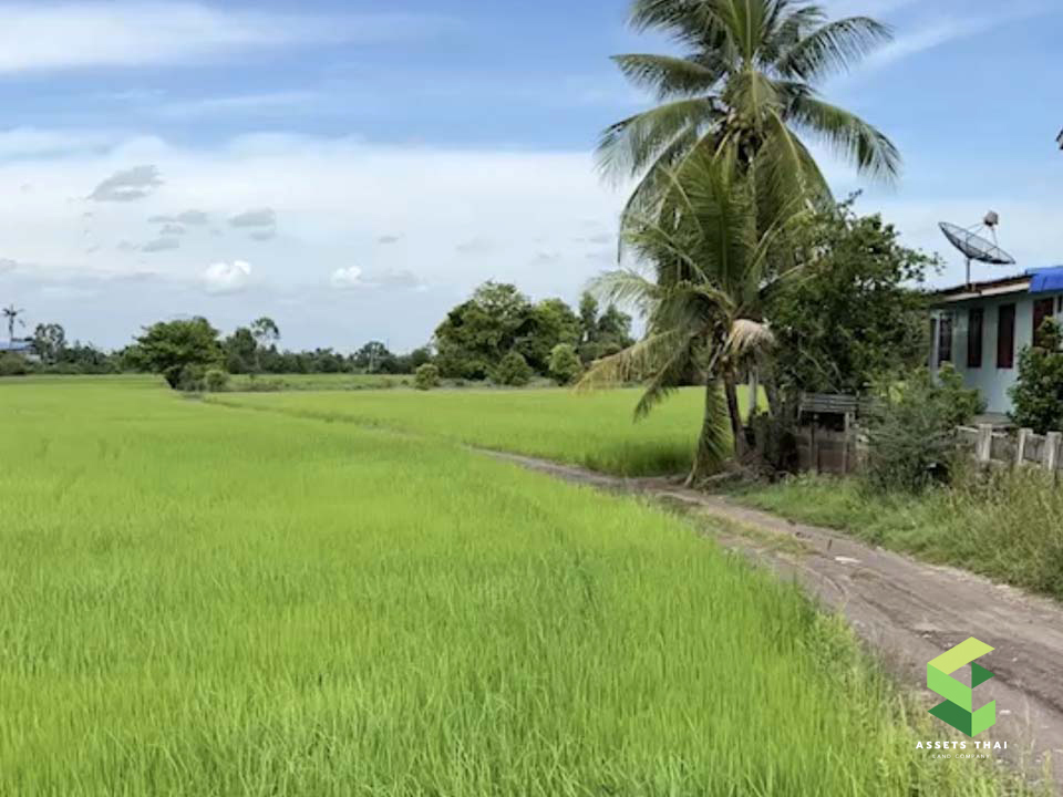 ที่ดิน