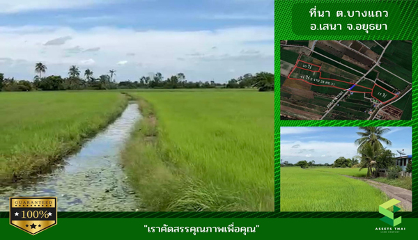 ขายที่ดิน ต.บ้านแถว อ.เสนา อยุธยา เหมาะทำเกษตร